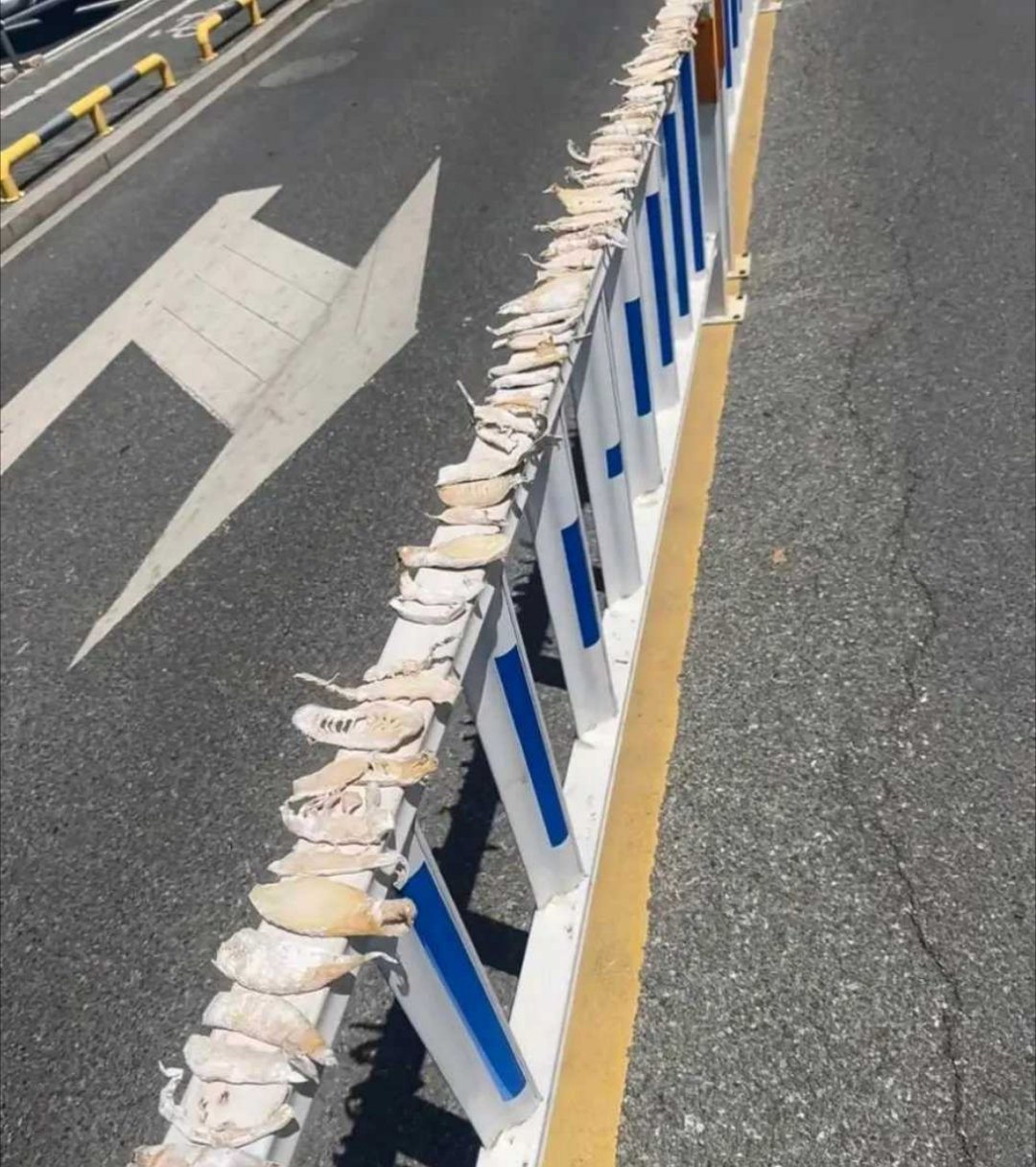 人怎么可以聪明成这样！