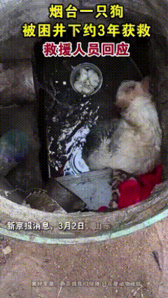 万物皆有灵，人间自有真情在。说真的，这个新闻让我看得泪目了，新闻联播都没让我这