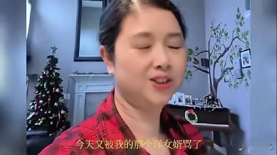 阿姨诉苦，今天又被洋女婿骂了，其实本来是个很小的事情，就是美国洋女婿让她把地下室