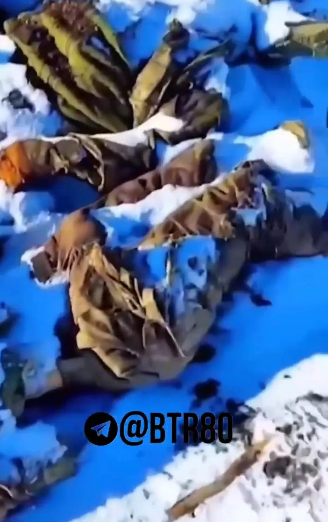 在雪地上永远睡过去、再也不会醒来的乌军士兵。最近乌军的反攻全面受挫，有生力量损