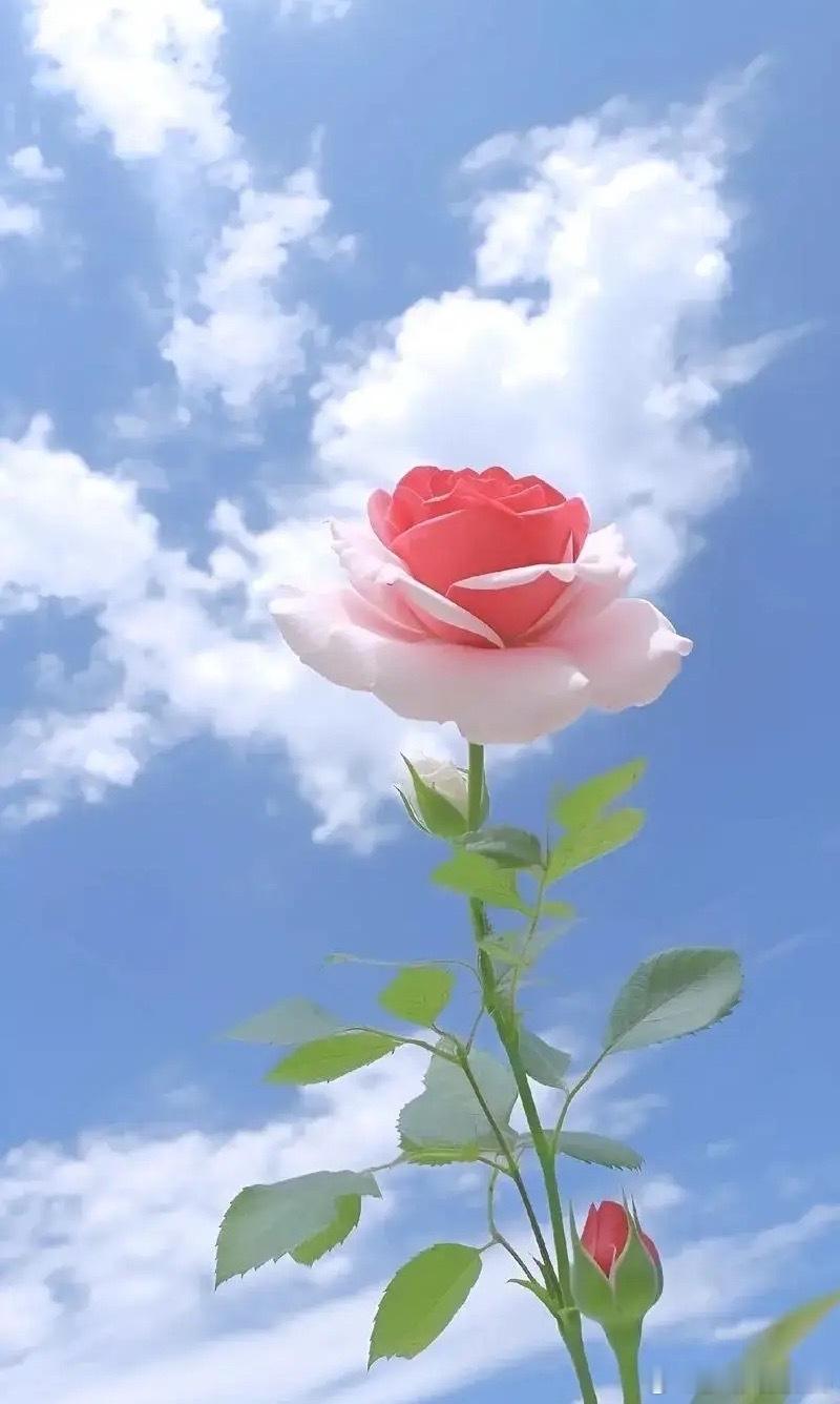 大彻大悟的一段话：“人老了才知道，房子靠不住，钱也靠不住，老伴也靠不住，唯一靠得