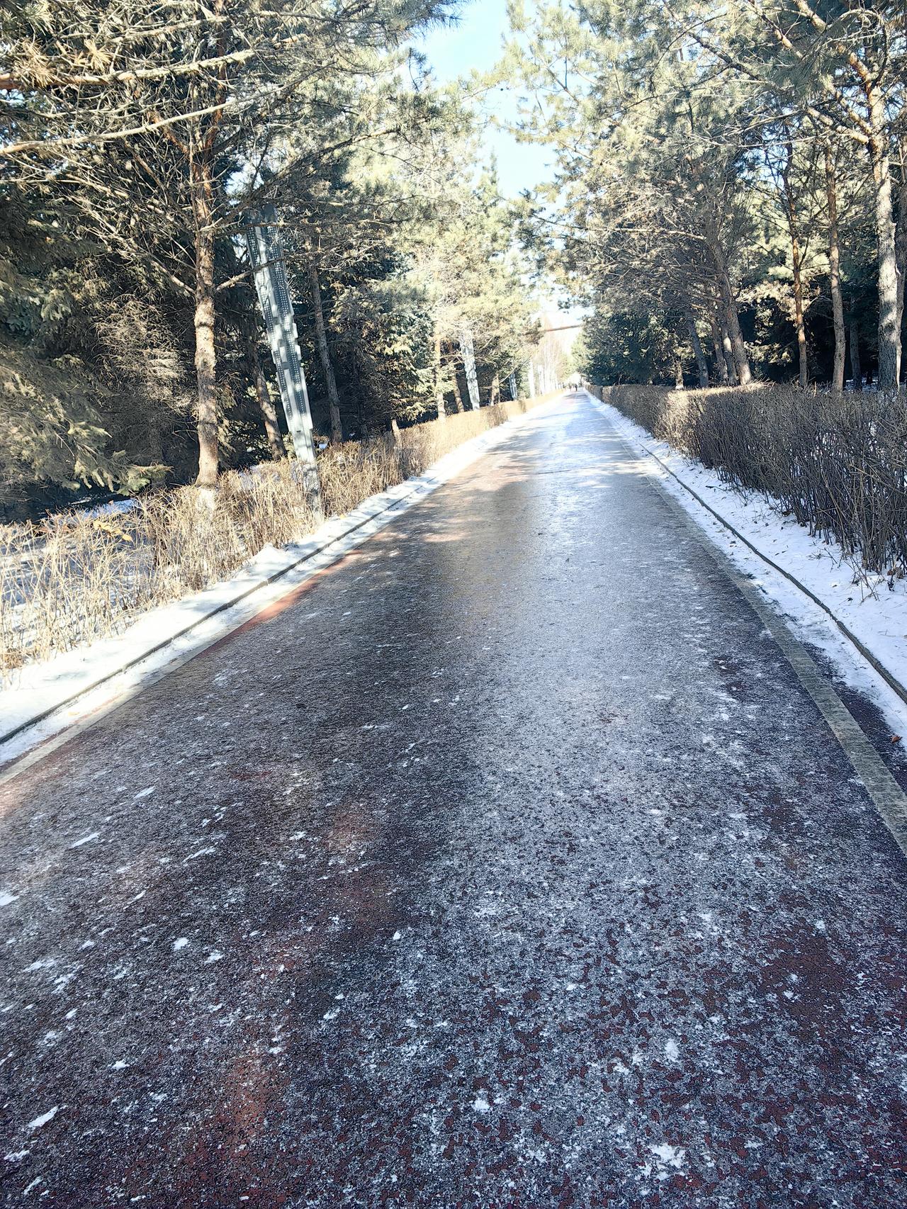 我今天去植物园里溜达了一圈，亲眼看到好几个来锻炼的朋友不小心滑倒。有的是跑步的时