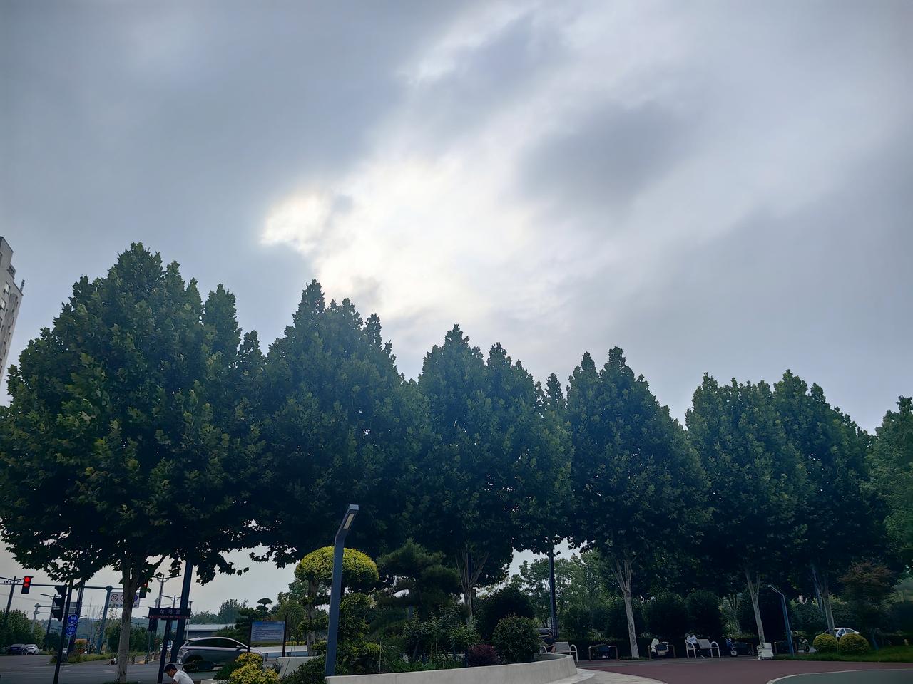 洛阳这天气真有意思，预报有小雨，温度在21℃-29℃，眼下还没下雨，这不得赶