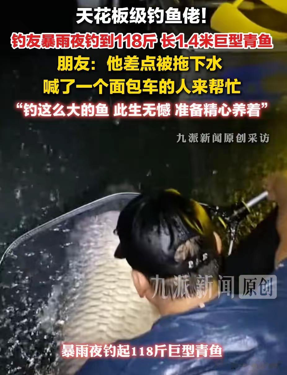 男子钓到118斤大青鱼，火爆了整个钓鱼圈，网友：比我女朋友还重。野外水域里面，一条巨型青鱼被钓友成功