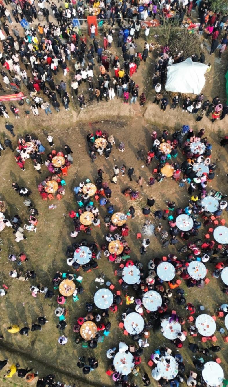 呆呆杀猪宴后我发现了一个很准的人性低层次的人，爱占小便宜中等层次的，热衷价