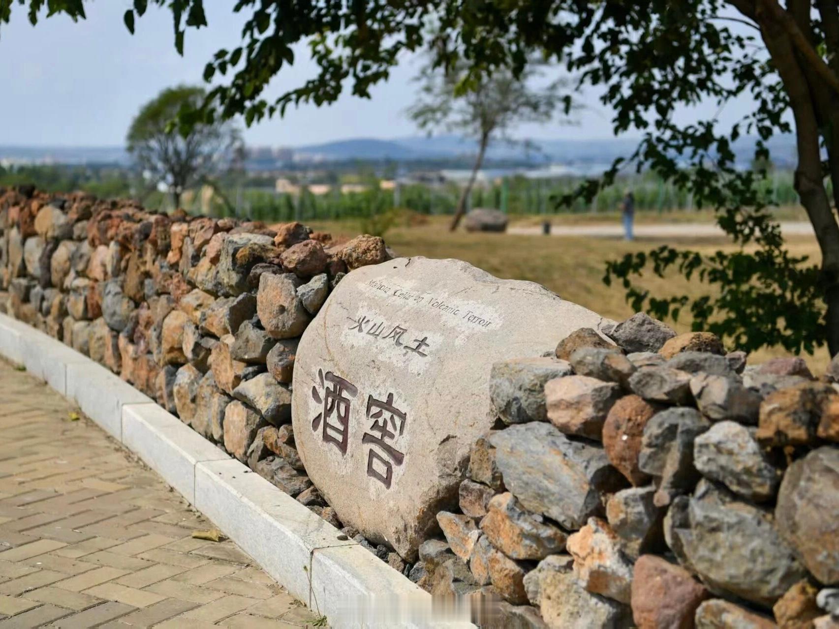 烟台秋游宝藏地推荐寒露已至，秋意开始变得清晰，出游正当时！想活动筋骨、呼吸山野