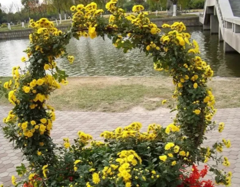 今天中午12点，堂侄哭着给我打电话说，他爸爸突发脑溢血11点去世了。他只是通知