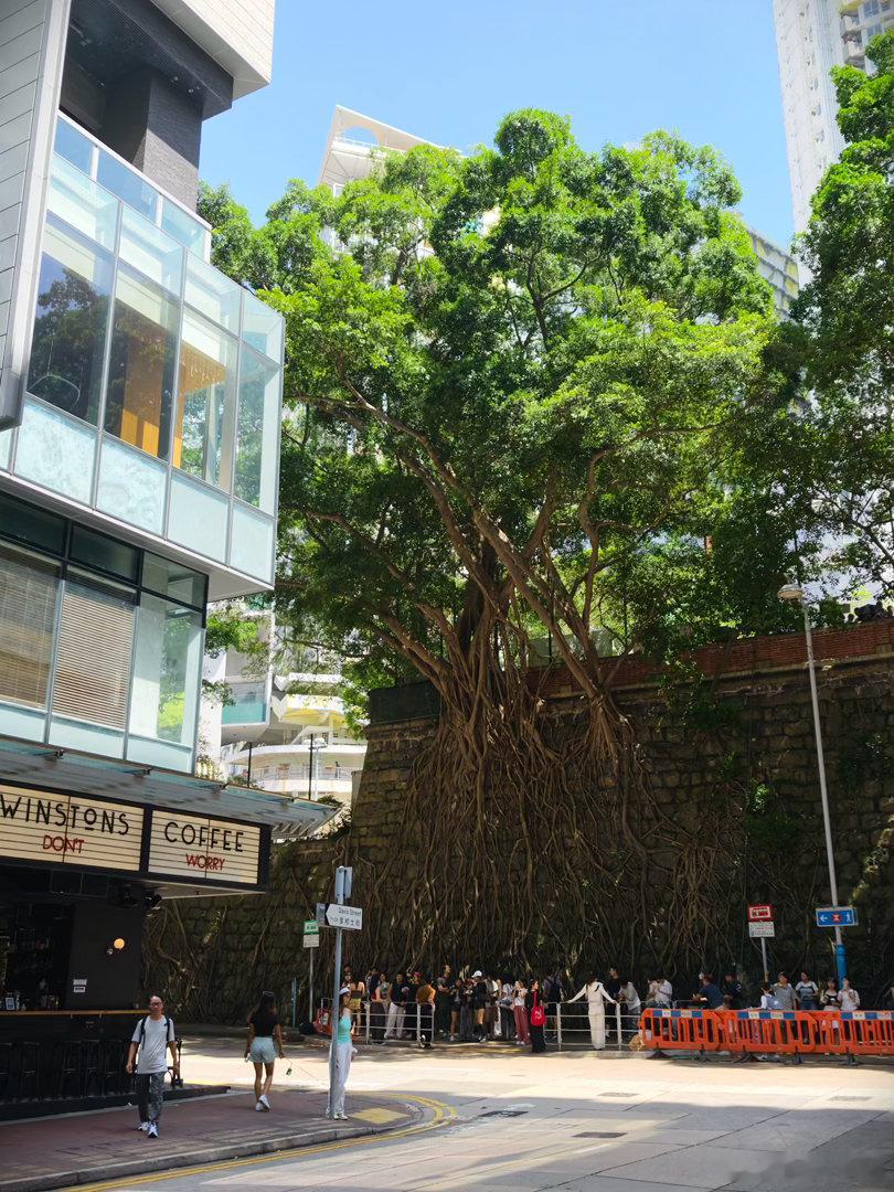 尖沙咀-会展中心-坚尼地城-中环-太平山香港以前觉得它是前卫的代表，现在是复古的