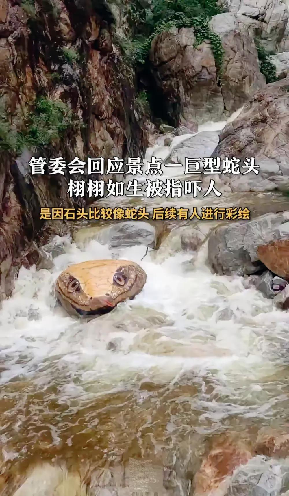 河南一景区惊现一个巨大的蛇头，游客们吓得四处逃窜，连拍照的人的手都抖了。视频上传