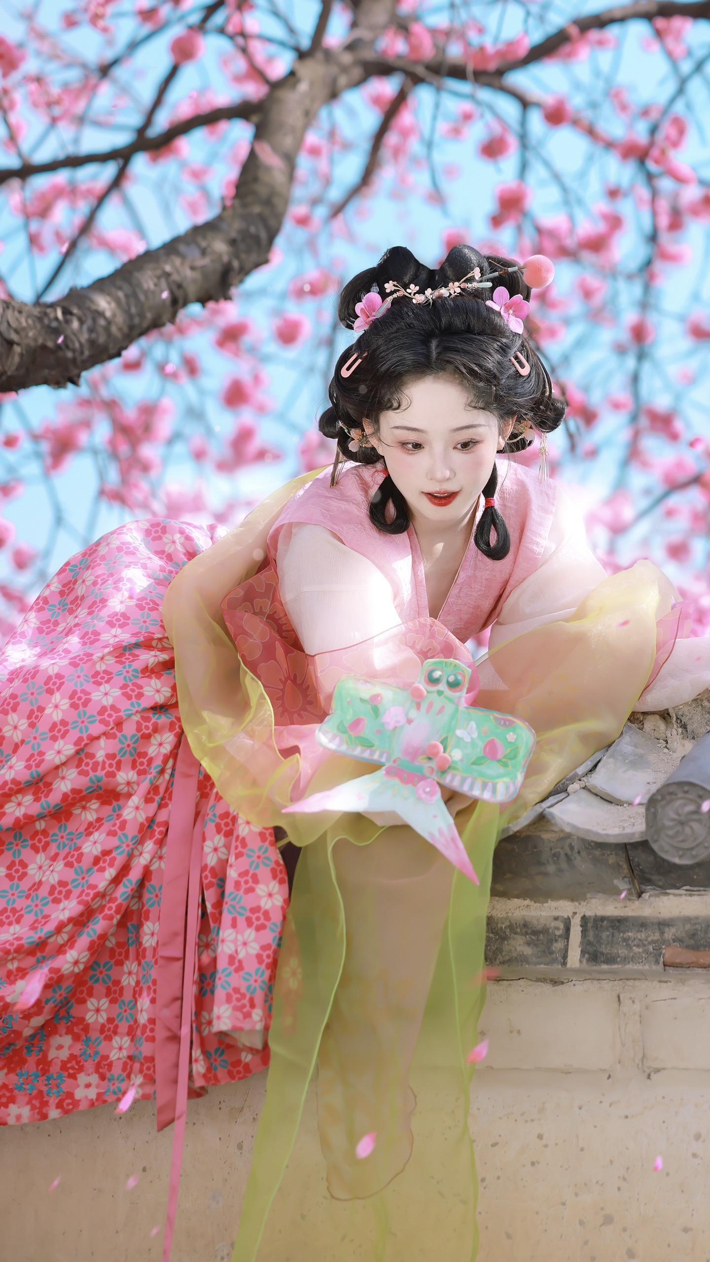 “老爷，小姐又翻墙啦！” ｜大理樱花。大理拍的春樱～ 12月又要去大理...