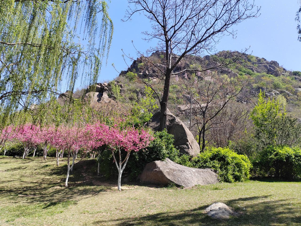 涨养老金的消息，一点音信没有，真急死个人，这都快五月底了，马上六月了，等了这么久