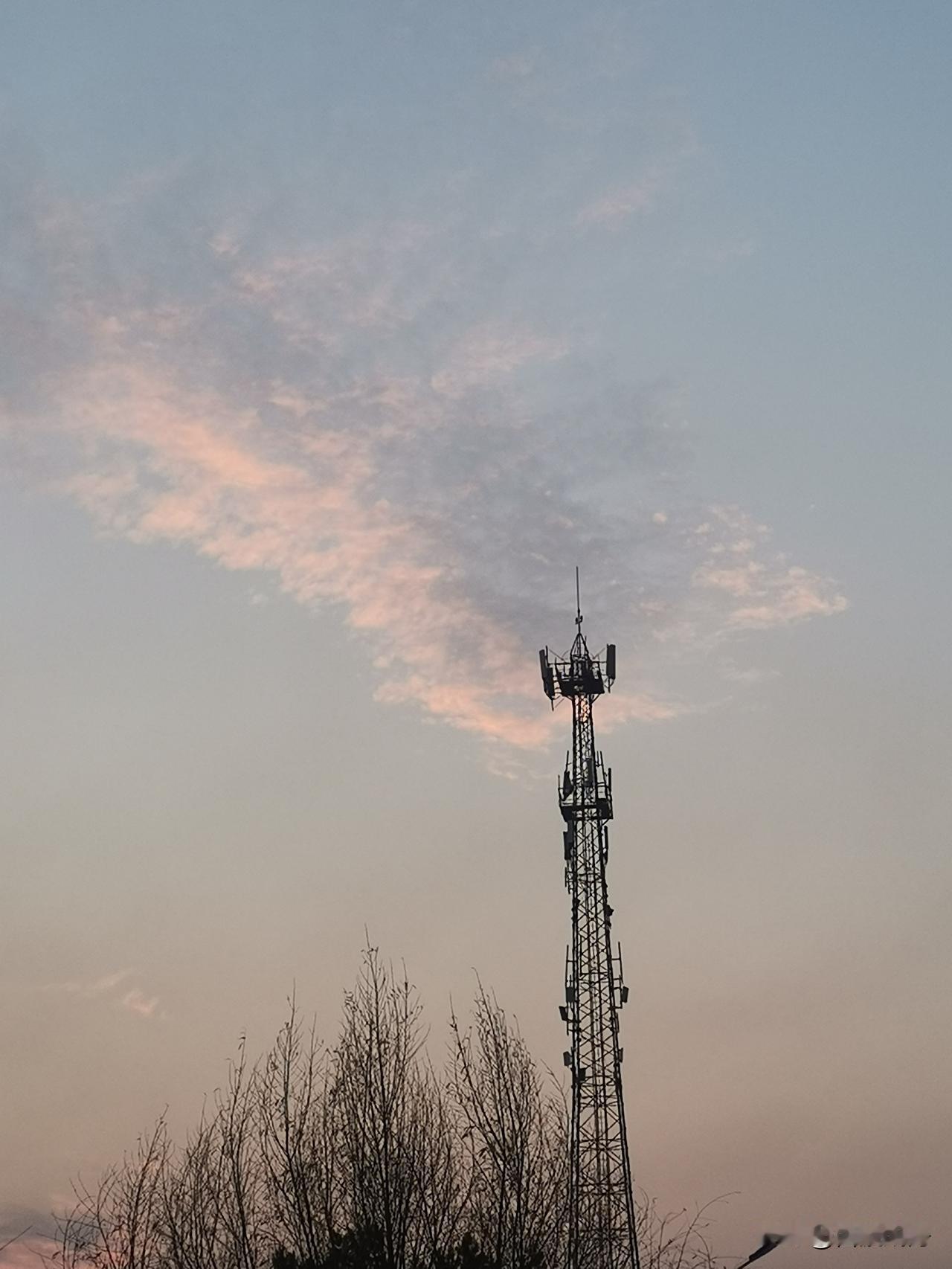 日籍艺人的立场有多圈粉，矢野浩二和美依礼芽直接给出标准答案！11月18日，