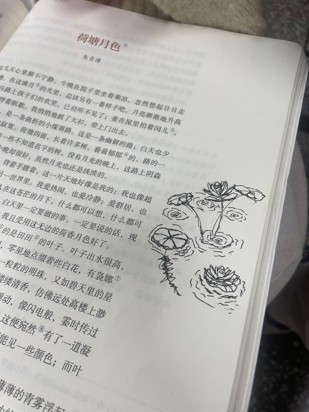 🪷（大师作画中…）