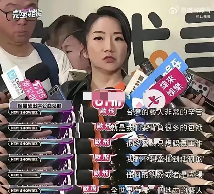 终于有网友把陶晶莹的采访翻译的明明白白：意思就是：“在台湾赚不到钱，想去大陆赚