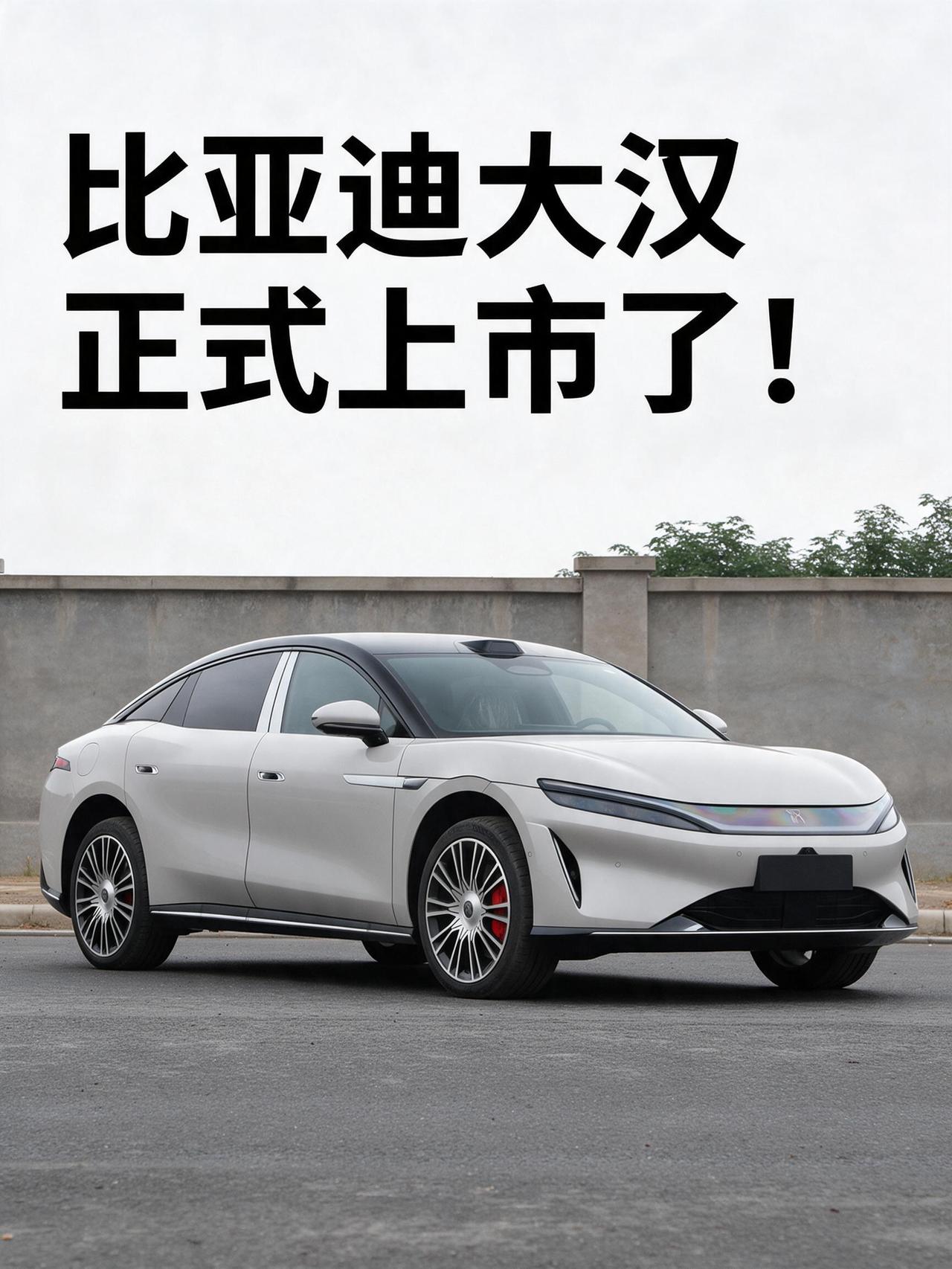 兄弟们，10月13日，今天比亚迪大汉正式上市了！这可是王朝突破千万销量后的首款9