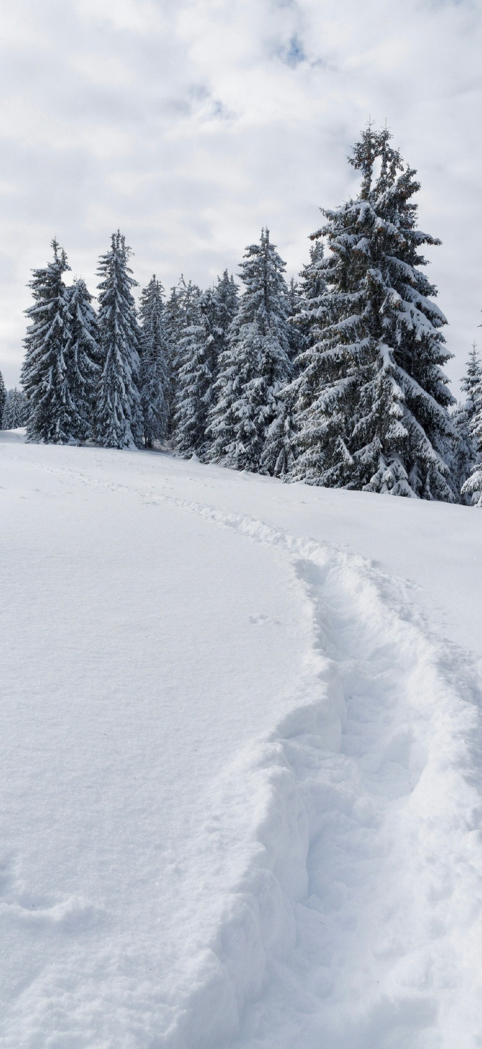 “风景壁纸”已送达，大家早安呀！