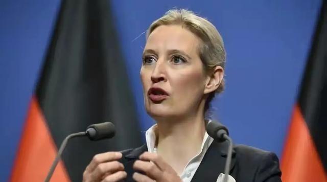 德国议会这场投票看得人揪心！魏德尔带领反对党拼尽全力阻拦，最终还是以252票对3