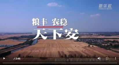 六七十年代农村每月有多少口粮?六七十年代，农村以生产队为基本核算单位。全国各个地