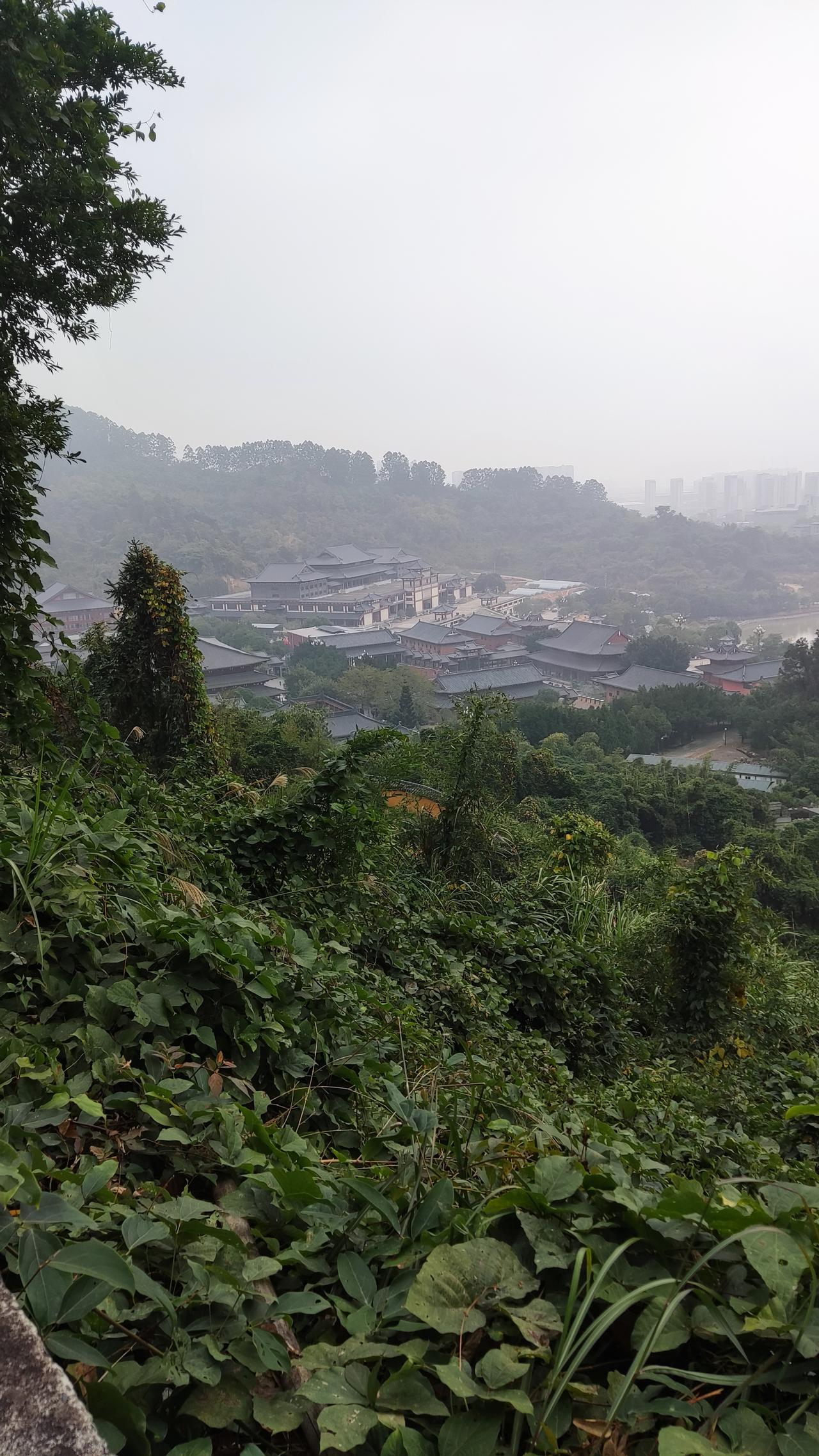 什么才是真正的幸福人生？每个人都在追寻幸福，但什么才是真正的幸福人生？是金