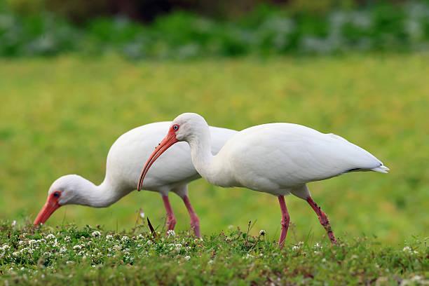 一位情感老师说：多年不联系的人，真的没必要再叙旧。很多人都有过这样的经历：