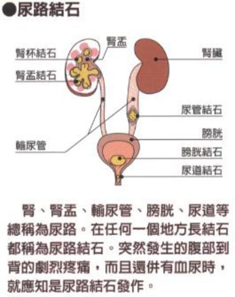 如果是存在尿路感染,尿路结石,尿崩症,也会造成反复尿频的现象,夜尿