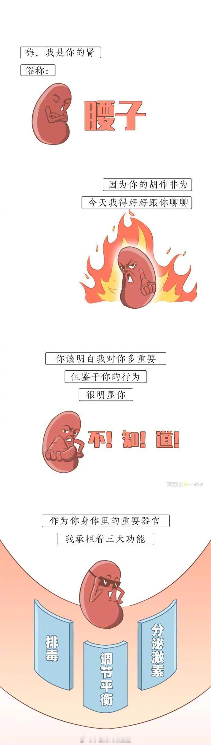 科普健康腰子攻略一组漫画告诉你肾要紧，要谨慎“想要腰子健康，最好的办法就是……