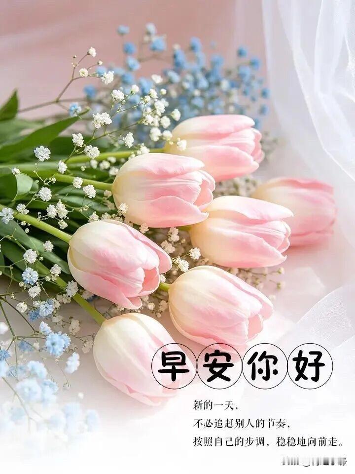 🌼²⁰²⁶/₀₈.₀₃ᵕ̈周一｜新周快乐☀️🍃🍒🍑☕️晨光漫过盛夏晨