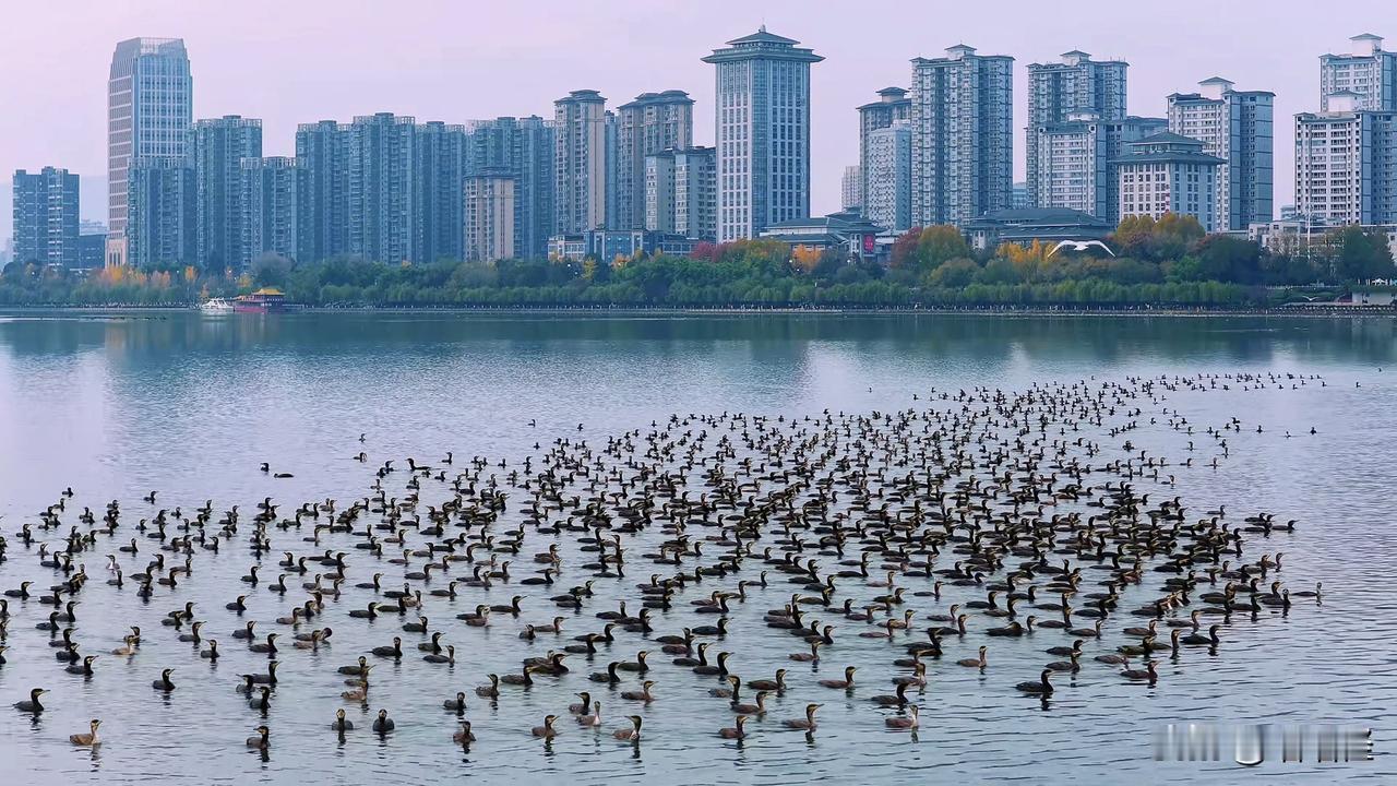 汉中这一番景象，恐怕在全国都很难找出来，真不愧是江南领袖之城。虽说这是一座四线