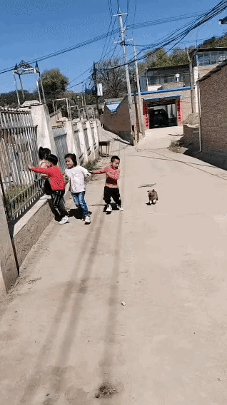 这场面可爱极了。