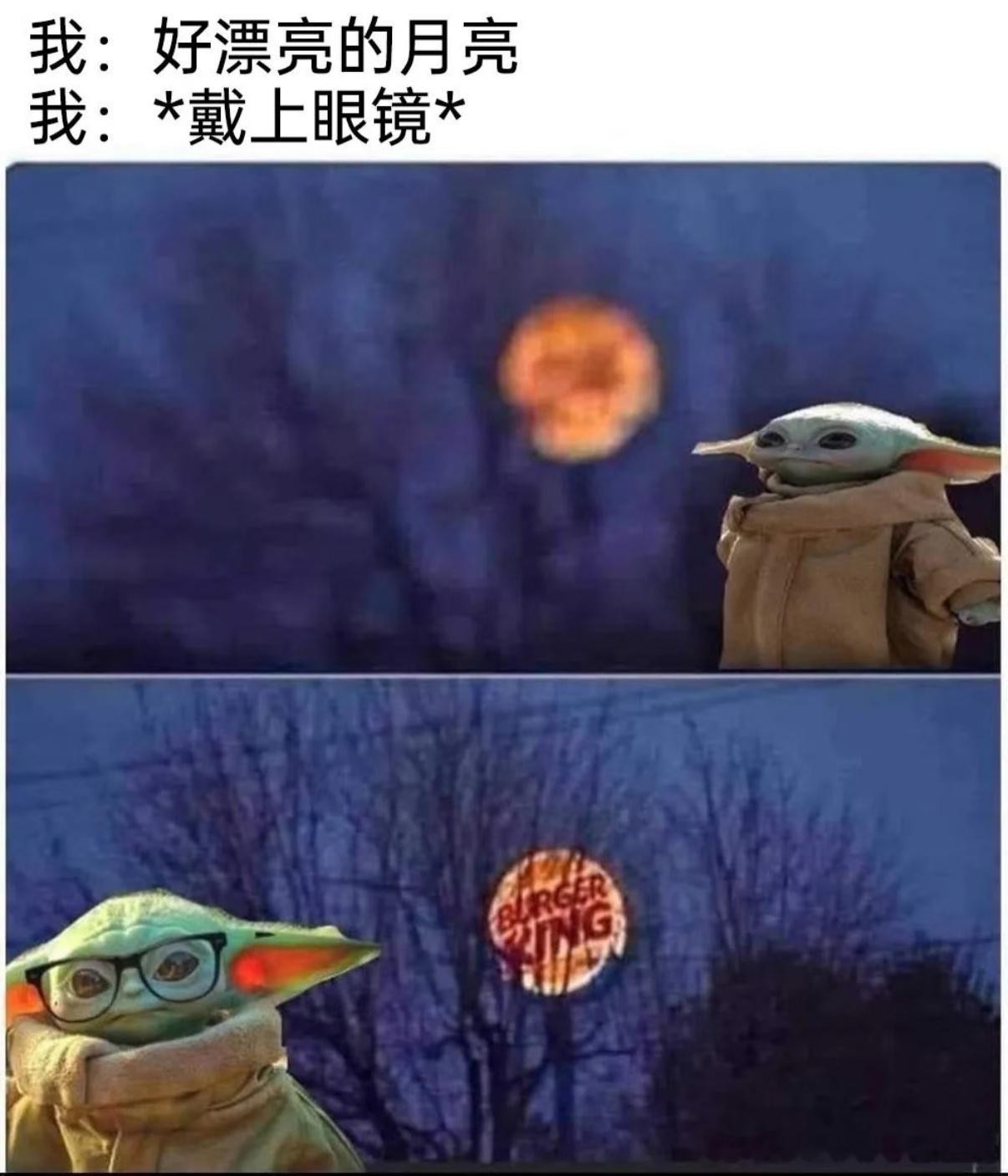 5445近视眼的世界