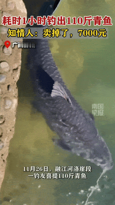 广西，男子在河边夜钓，鱼竿突然被巨力拽走，差点脱手，他喊来朋友，三人轮流拽竿一个