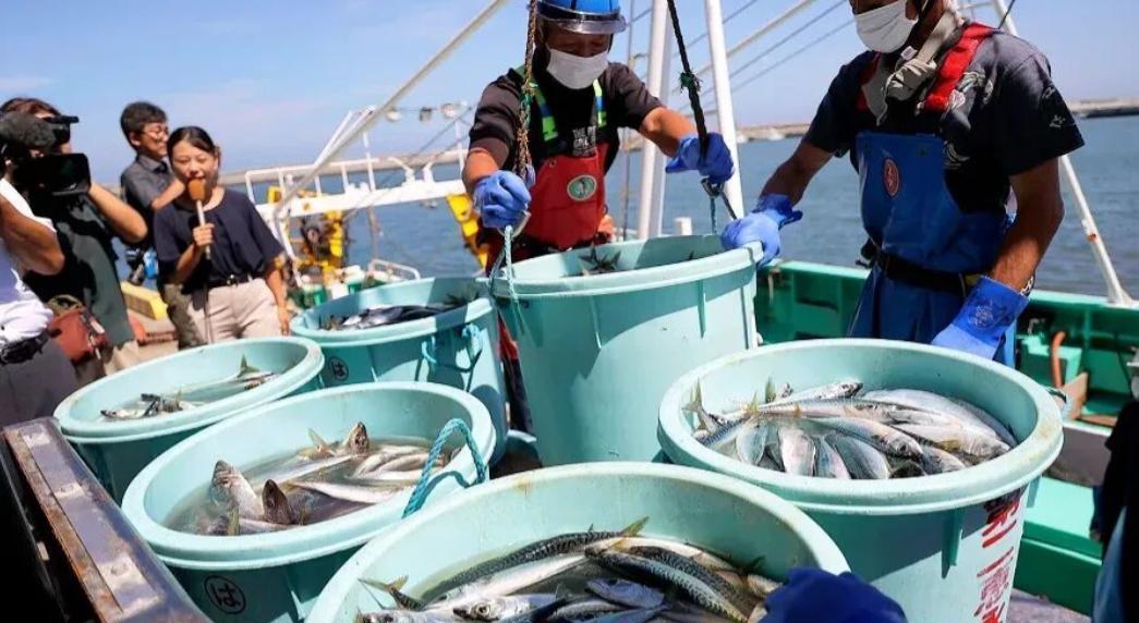 果不其然，果然被猜中了！日本不怕中国制裁，不怕经济下滑，不怕航班取消，不怕拉走熊
