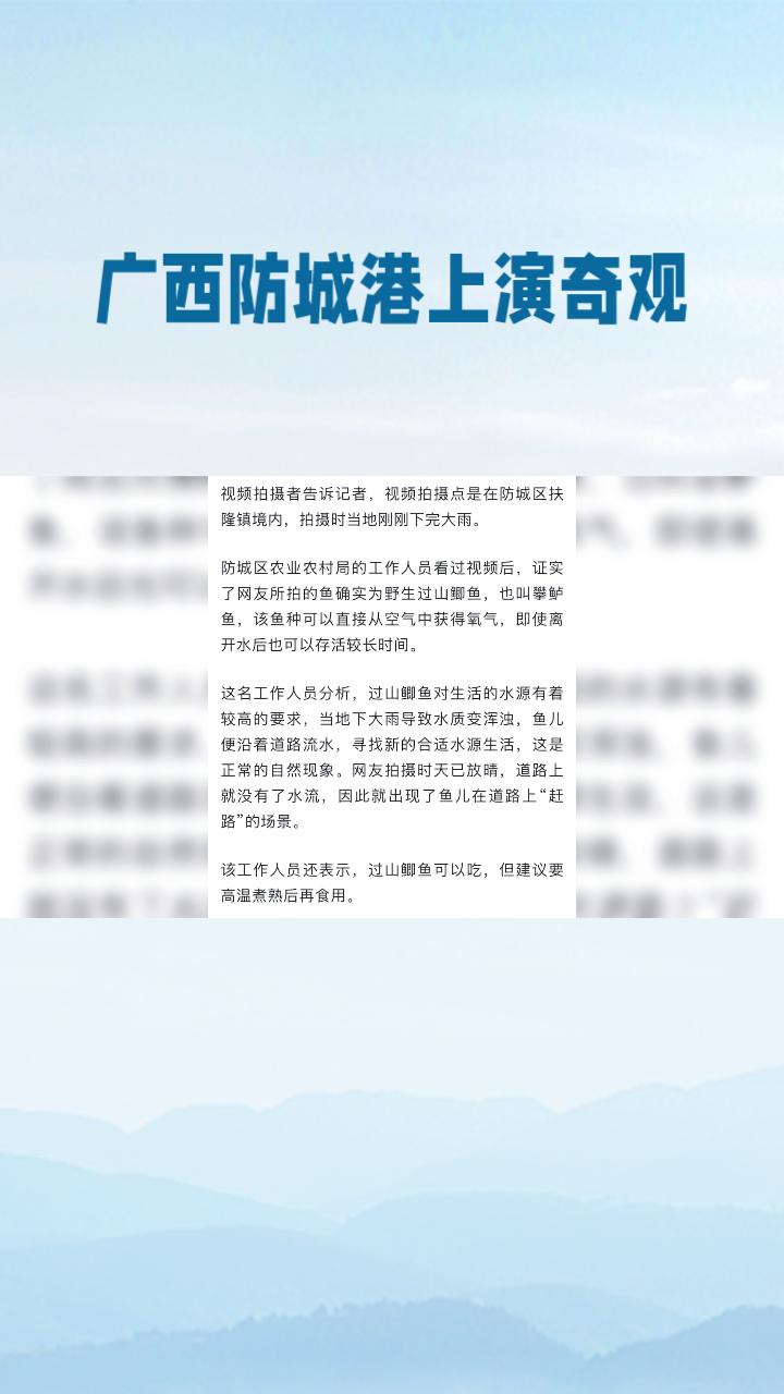 鱼群为何雨后“上街”？广西防城港上演奇观引热议。5月16日，广西防城港市防城区