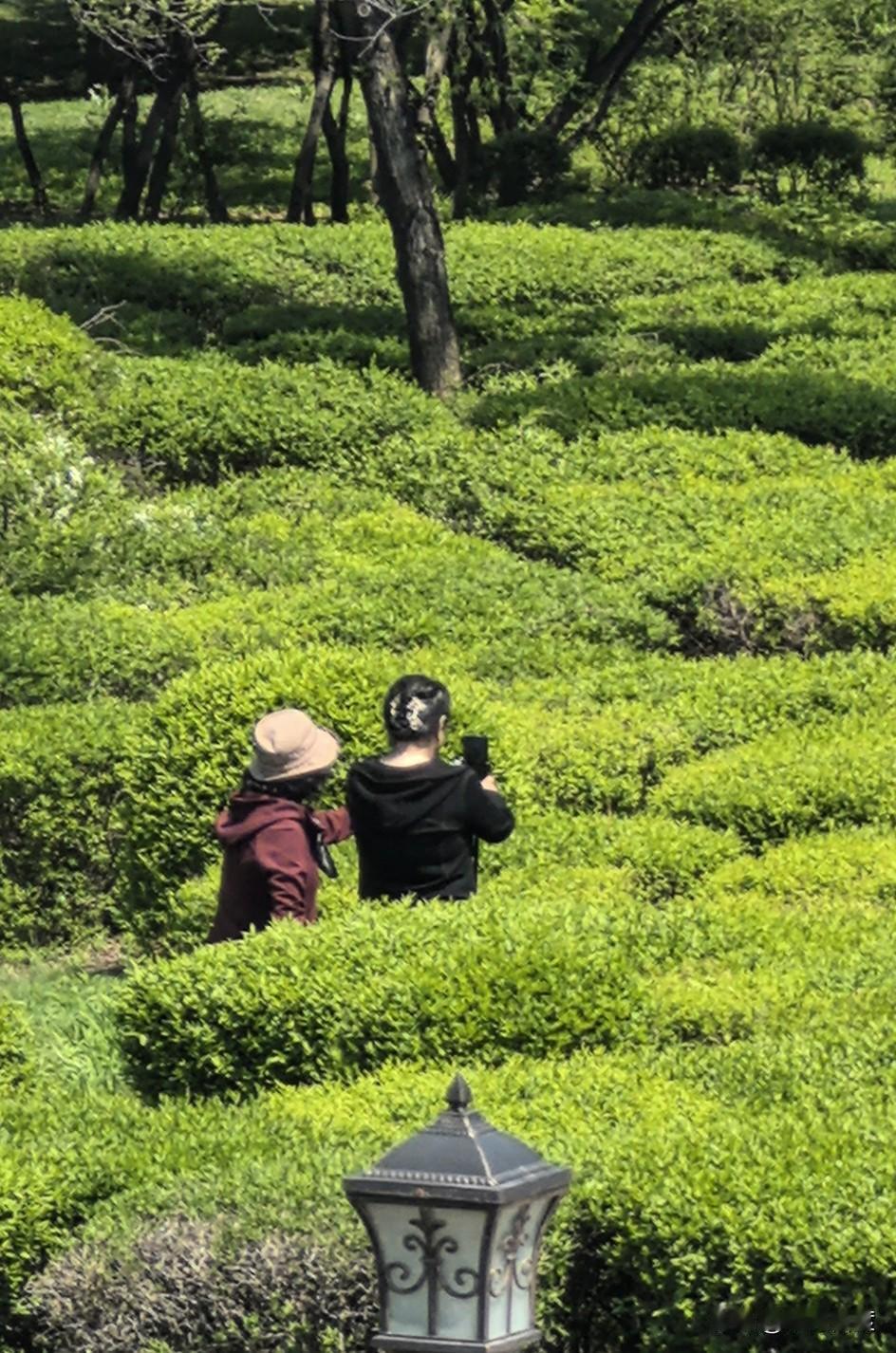 人，为什么不能太过于清闲？事实证明，人闲生烦恼，地闲生杂草。身闲生杂事，心闲