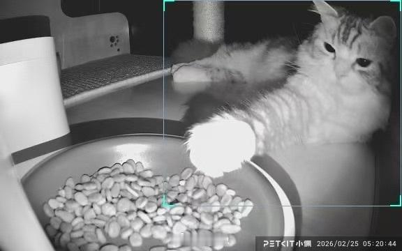 前几天，粮食机发神经没出粮，他大概饿了大半天吧，在那之后，他就这样睡觉了