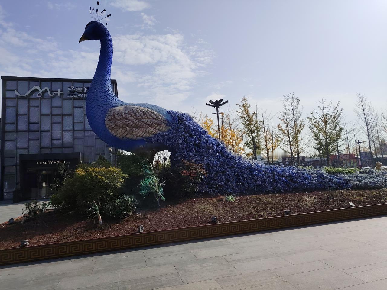 老师把猫的家长叫来了猫妈妈训诫小猫道：“我有没有告诉过你，不许去高处。”老