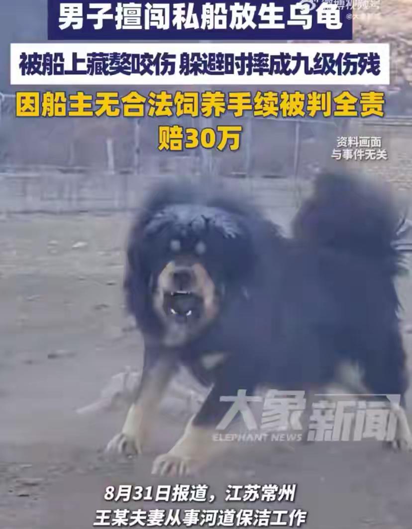 江苏常州，男子没跟船主打招呼，就私自上船准备放生乌龟，可他万万没想到，船上竟养着