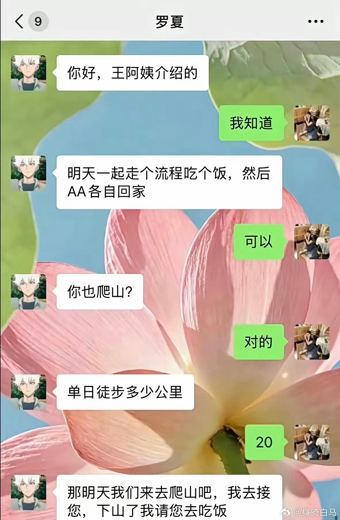 没有暧昧，只有对强者的尊敬[doge]​​​