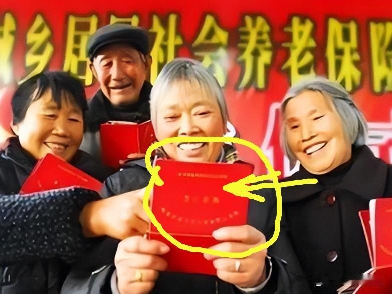 农民没有退休金老了会比较惨。我一辈子都在种地，老了没退休金确实心里很慌。网上有