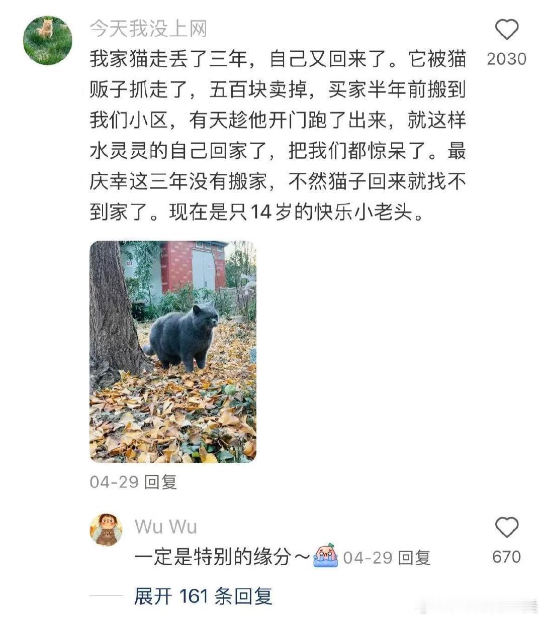 猫其实比狗更难忘掉主人