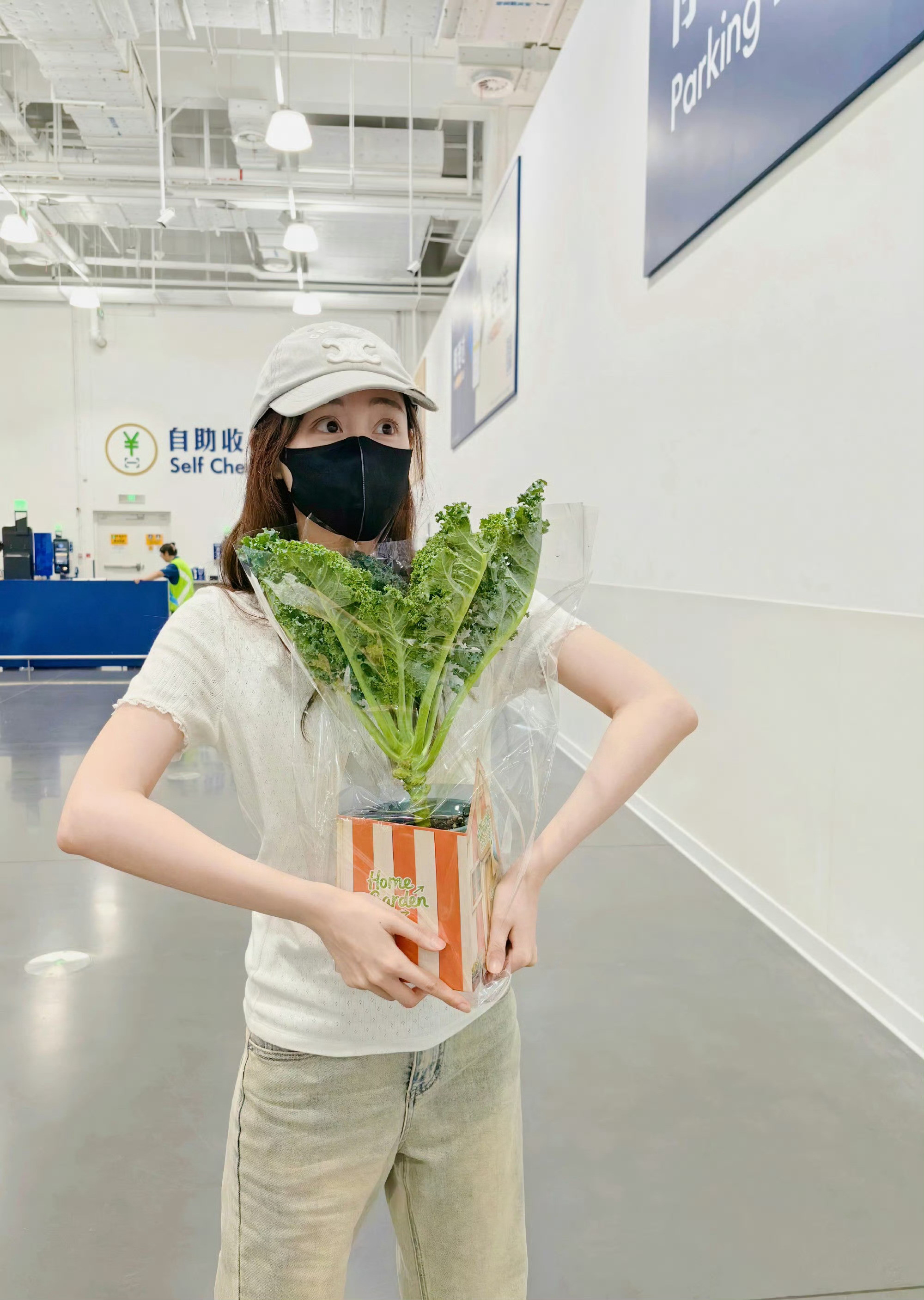 好看的盆栽好萌的祝绪丹