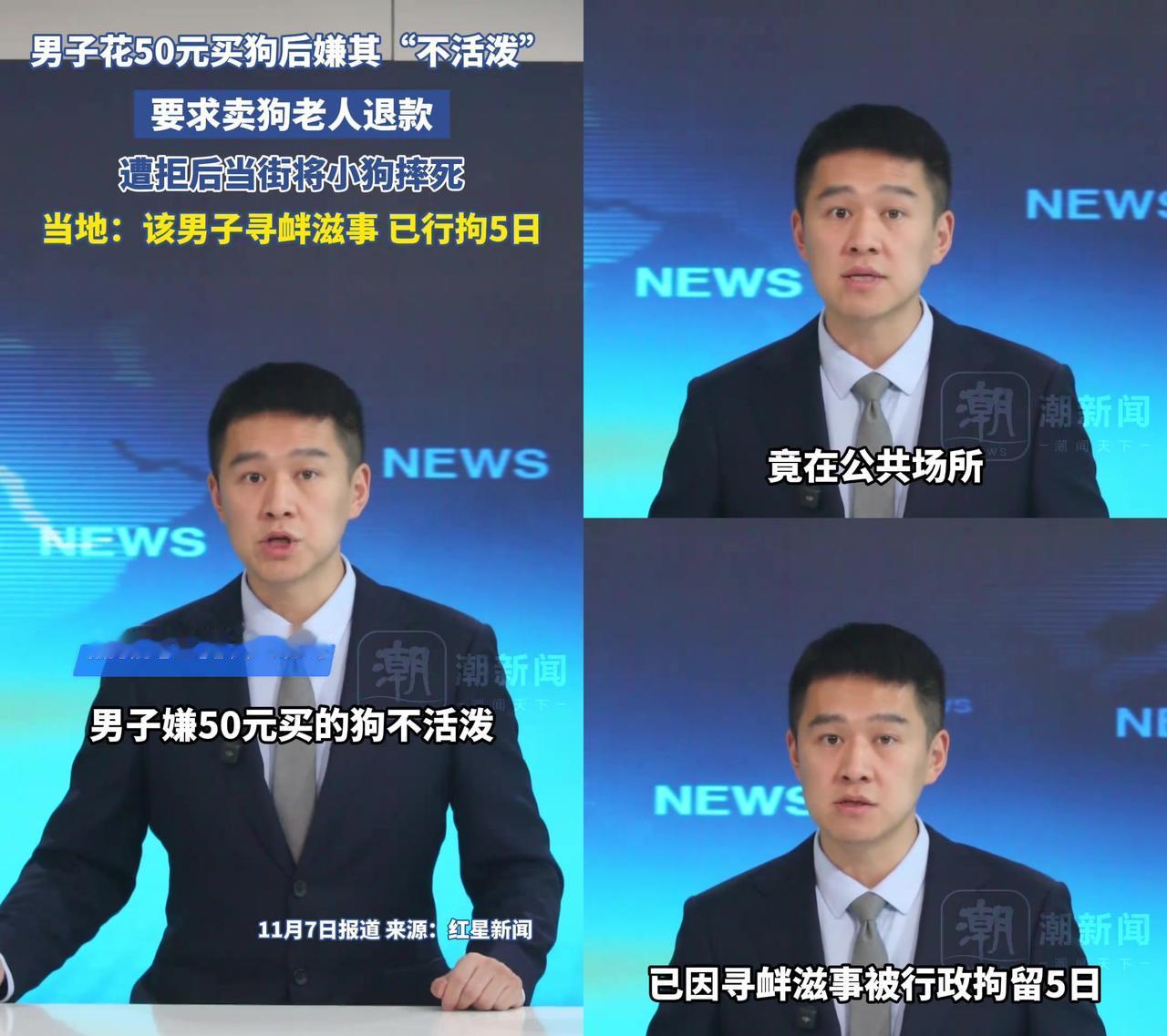 50块钱能买什么？够买杯热奶茶，或者两根炸串，却有人用它摔死了一条小狗。