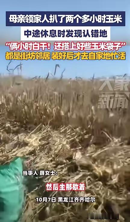 10月7日，黑龙江齐齐哈尔，一女子领着家人去地里扒玉米，干了2个小时后坐在一旁休