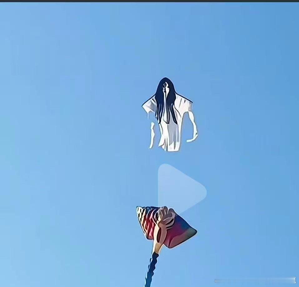 這個可以呀淘寶有嗎？諸葛臥龍反忽小隊