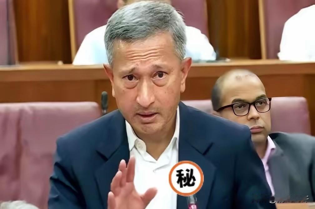 新加坡急了。在东盟的会上，外长几乎是拍着桌子，让中国“尊重”马六甲的地位。