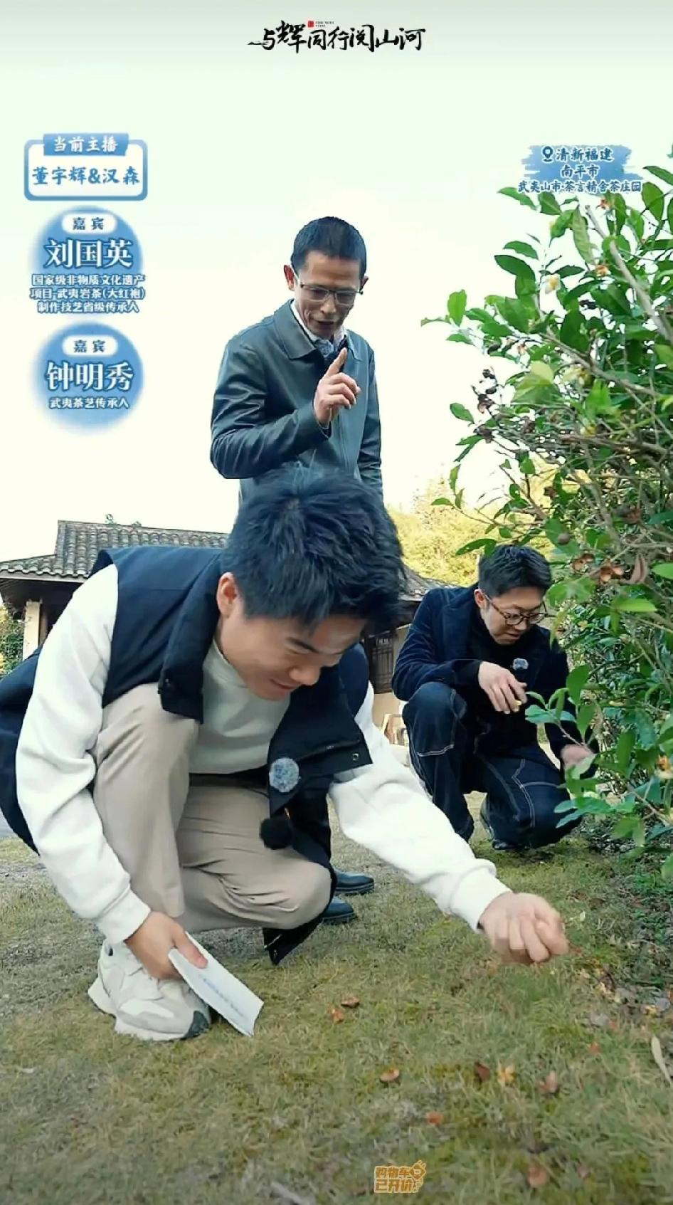 董宇辉到底懂不懂茶？董宇辉这次福建之行，最有争议的恐怕就是这个了：不喝茶、不懂