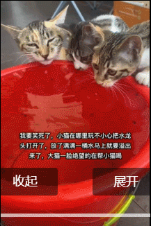 大猫不语只是一味的帮小猫喝水​​​