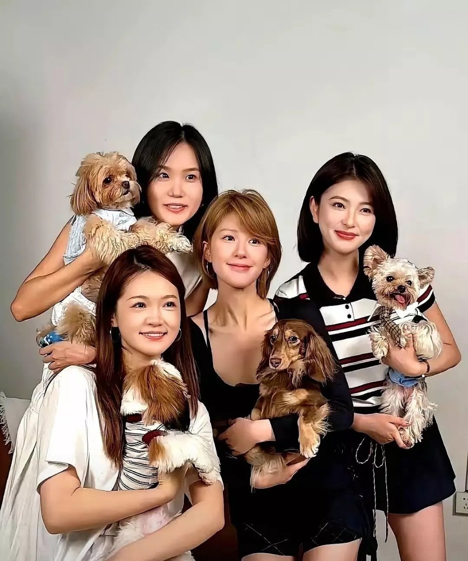 这是泰迪小天团啊​​​