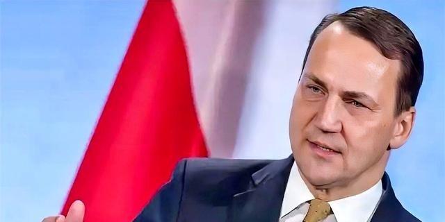 慕尼黑安全会议上，波兰副总理把话筒捏得死死的。他没看稿子，眼睛直直地盯着台下，对