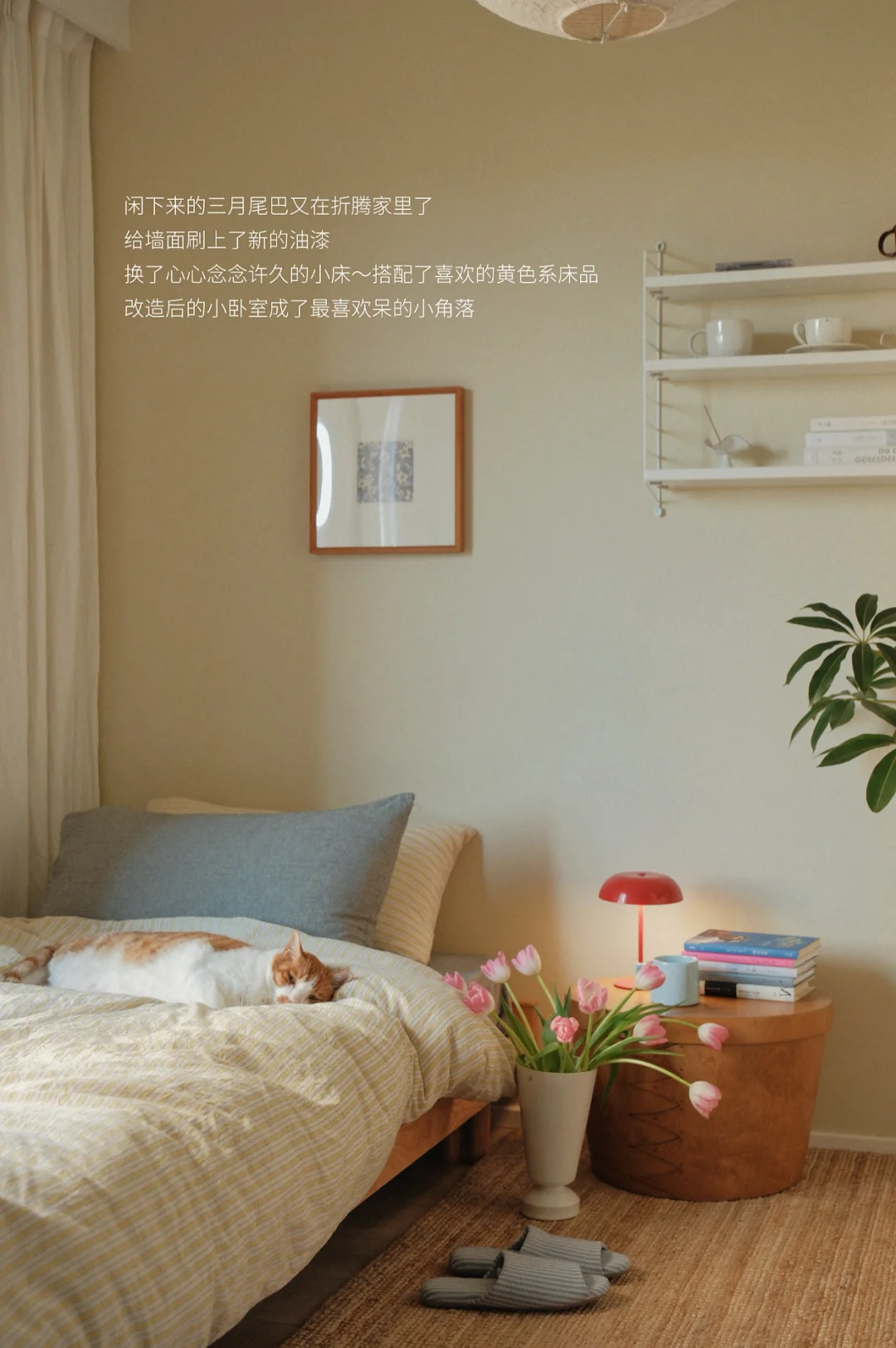 改造后10㎡的小卧室🛏️成了家里最爱的小角落